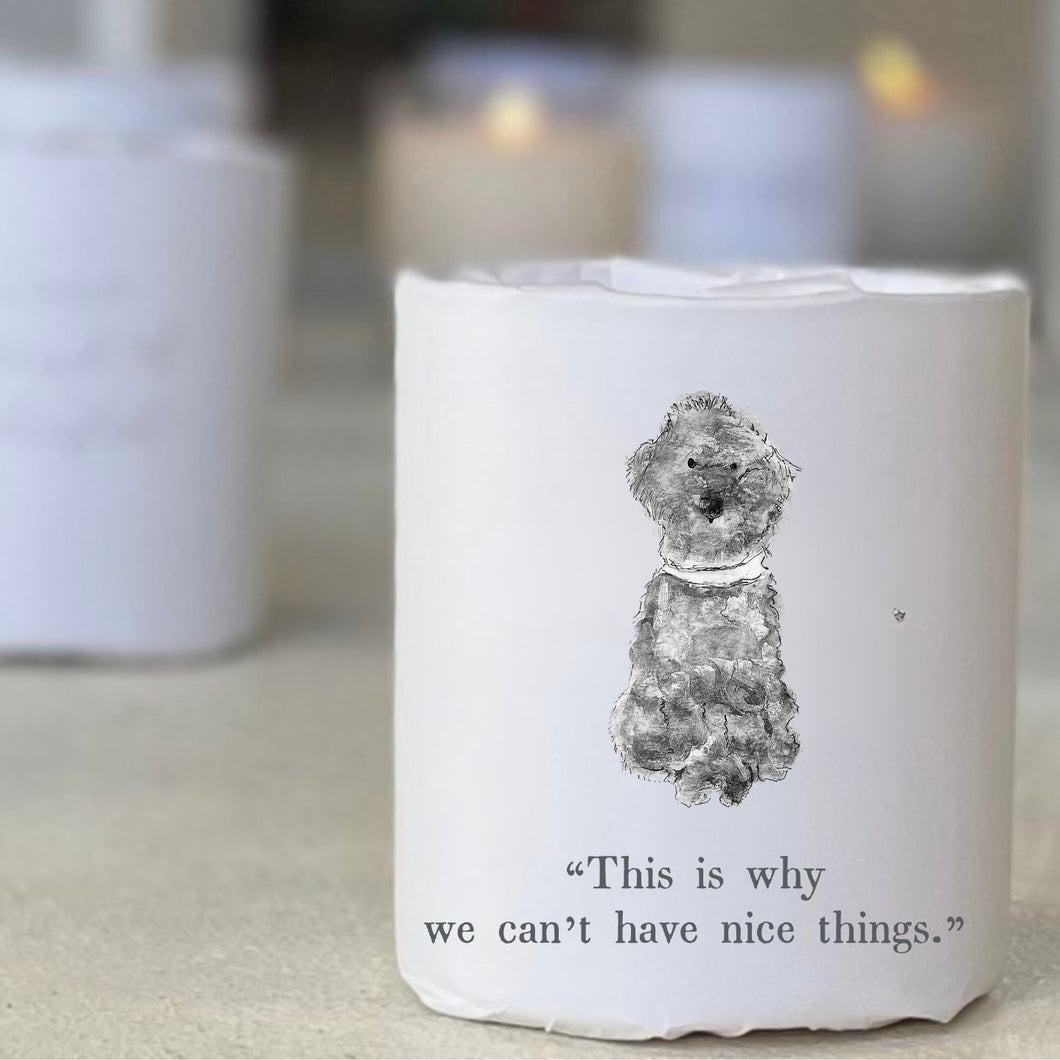 WHY WE CAN'T HAVE NICE THINGS SOY CANDLE