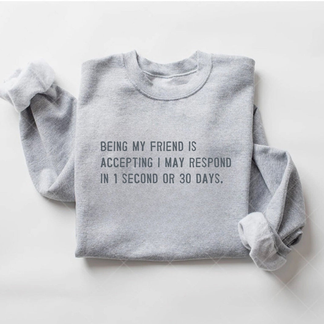 BEING MY FRIEND MEANS ACCEPTING...SWEATSHIRT