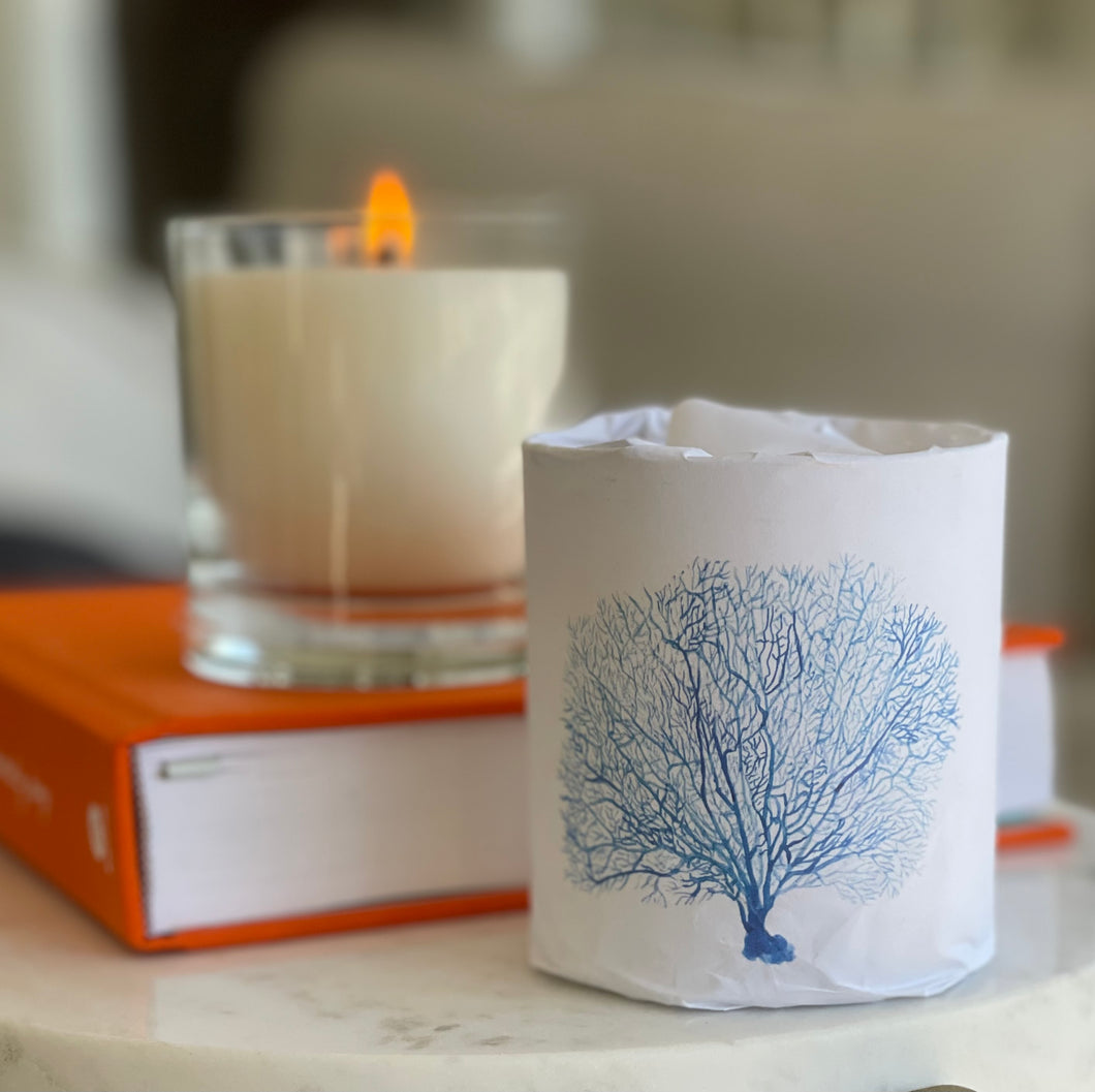 Sea Fan Candle